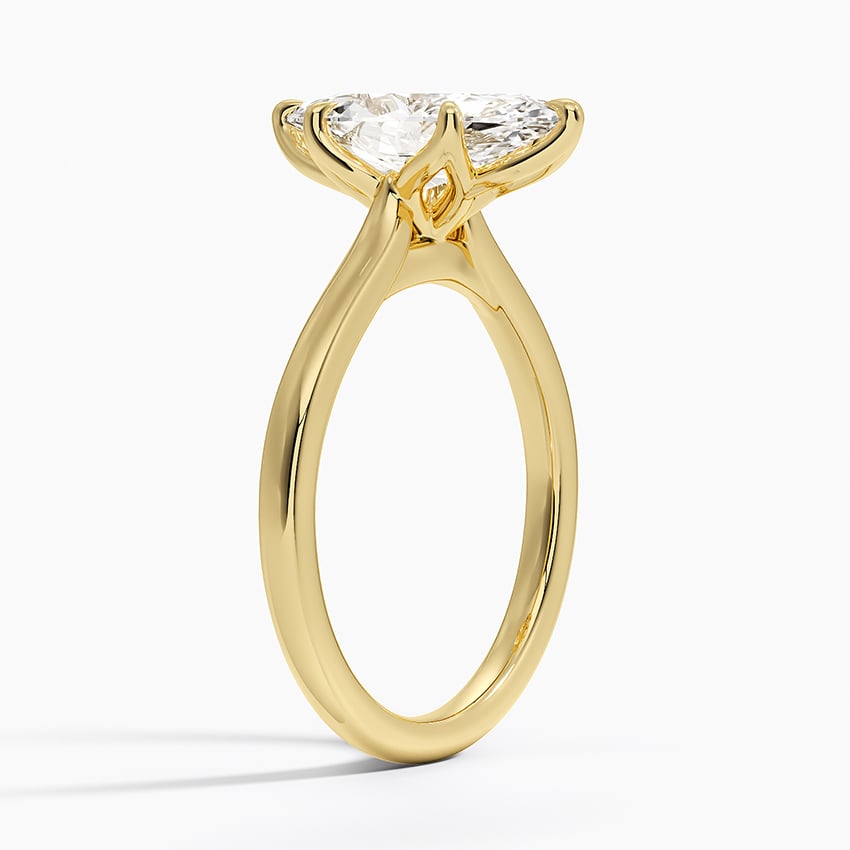 Elodie Cathedral Solitaire Ring